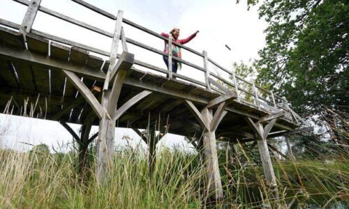 Bridge From ‘Winnie The Pooh’ Series To Be Auctioned